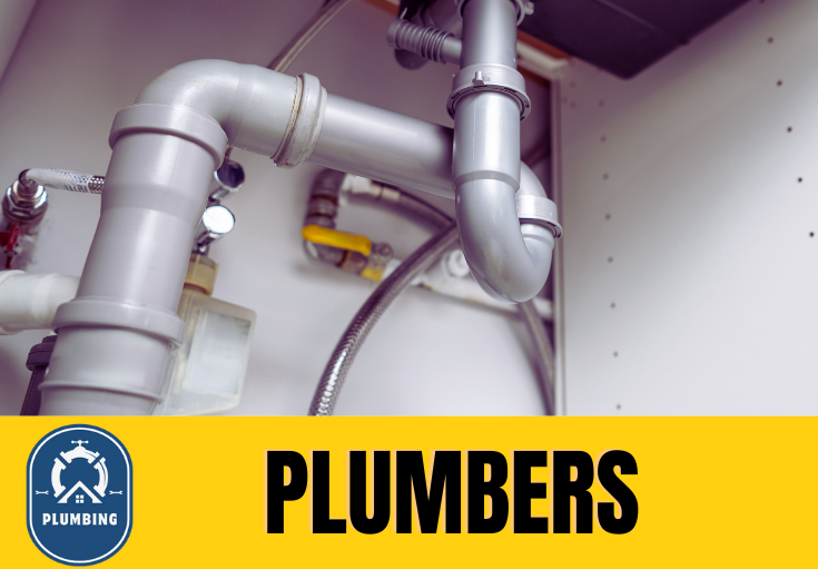  plumber Seacombe