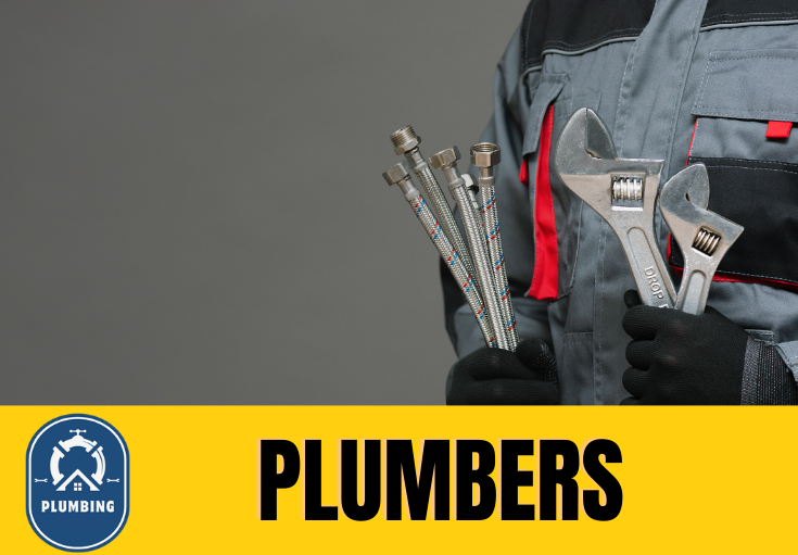 plumber Moreton