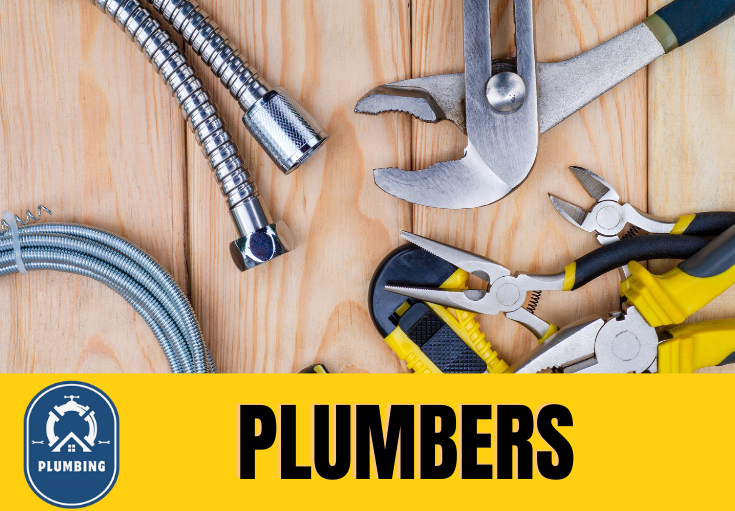  plumber Leasowe